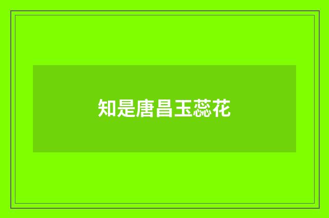 知是唐昌玉蕊花