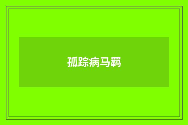 孤踪病马羁
