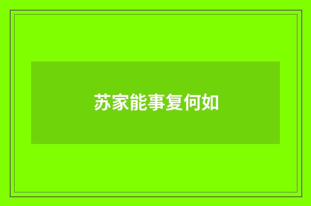 苏家能事复何如