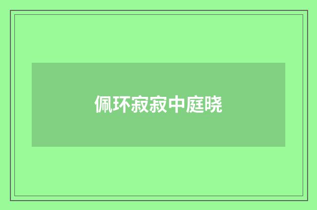 佩环寂寂中庭晓