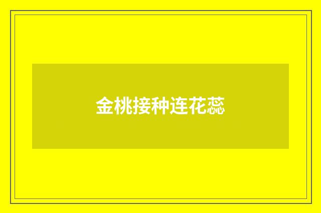 金桃接种连花蕊