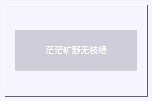 茫茫旷野无枝栖