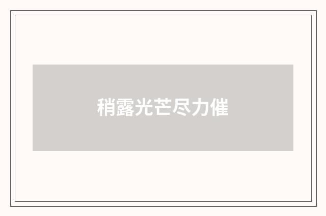 稍露光芒尽力催