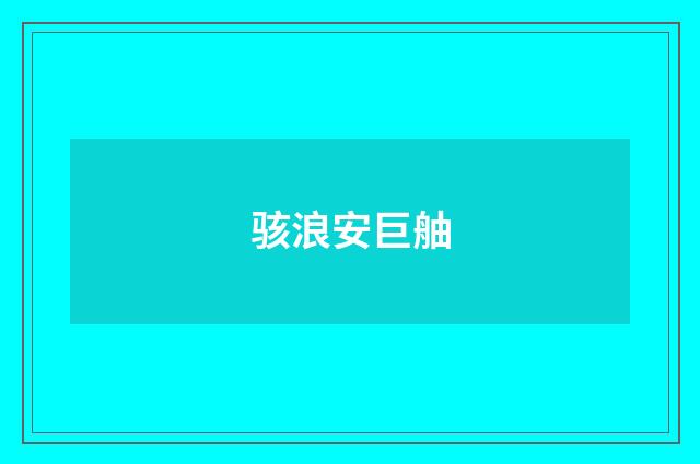骇浪安巨舳