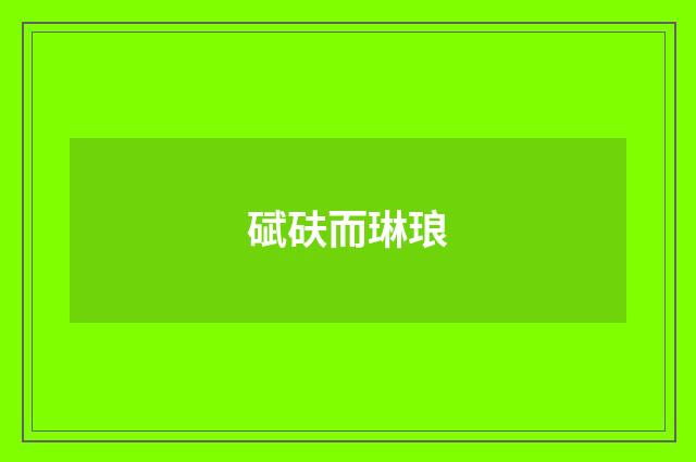 碔砆而琳琅