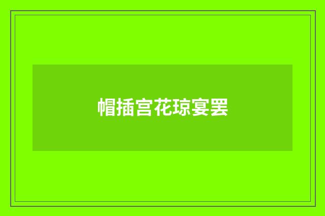 帽插宫花琼宴罢