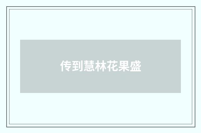 传到慧林花果盛