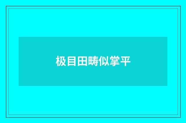 极目田畴似掌平