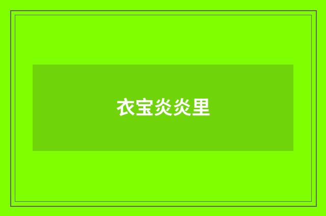 衣宝炎炎里