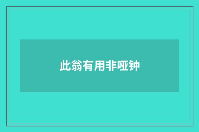 此翁有用非哑钟