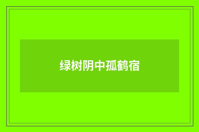 绿树阴中孤鹤宿