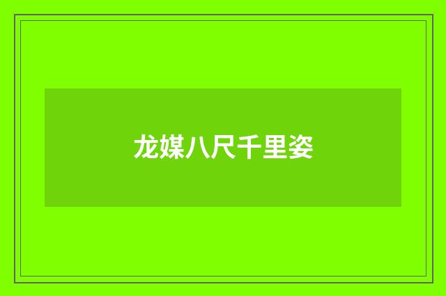 龙媒八尺千里姿