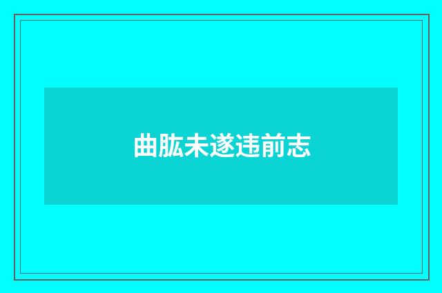 曲肱未遂违前志