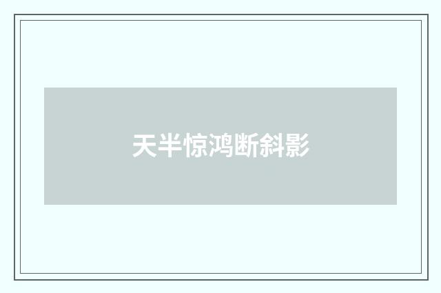 天半惊鸿断斜影