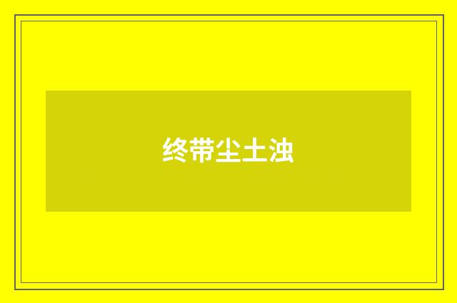 终带尘土浊