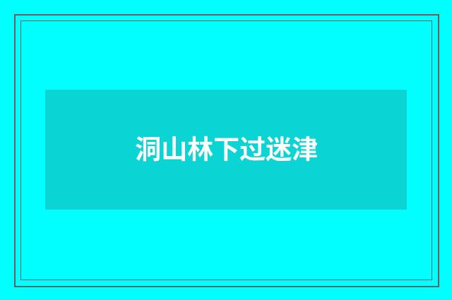 洞山林下过迷津