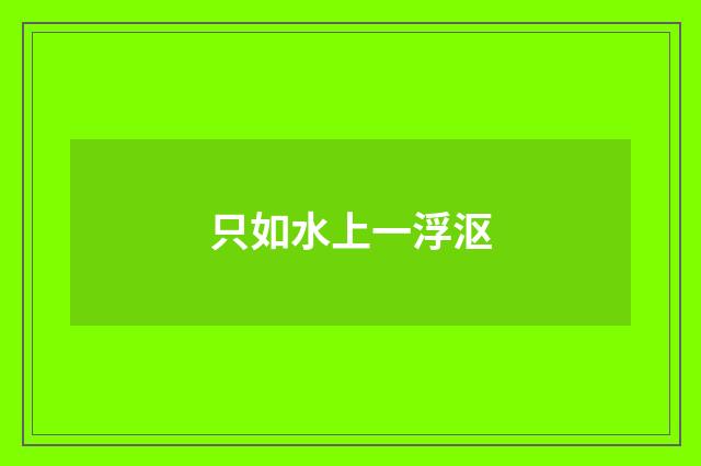 只如水上一浮沤