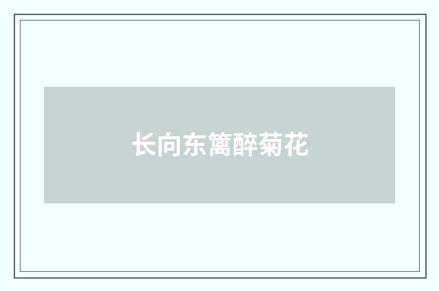 长向东篱醉菊花