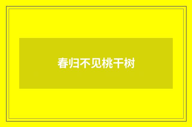 春归不见桃干树
