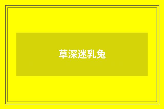 草深迷乳兔