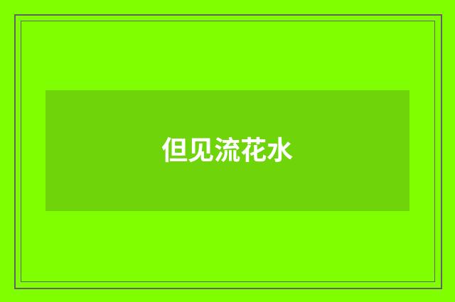 但见流花水
