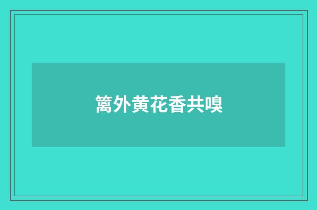 篱外黄花香共嗅