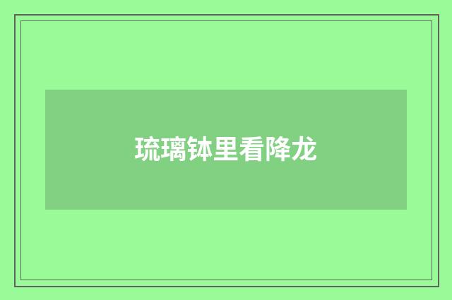 琉璃钵里看降龙