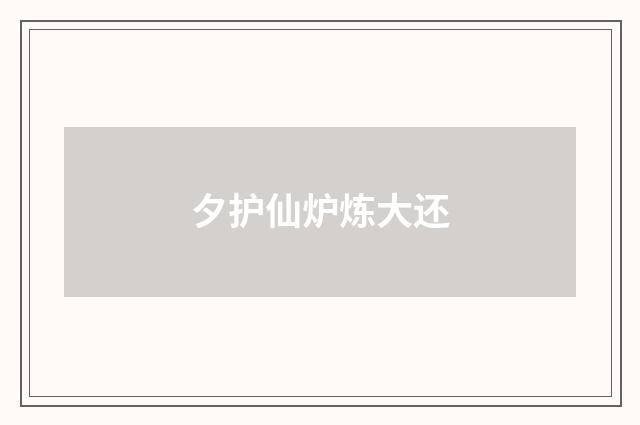 夕护仙炉炼大还