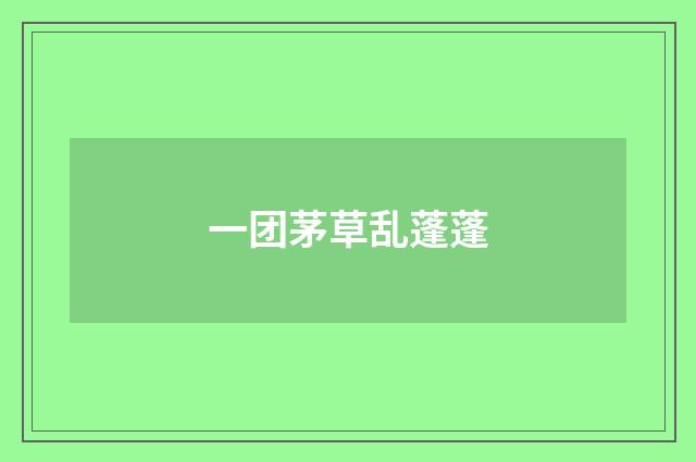 一团茅草乱蓬蓬