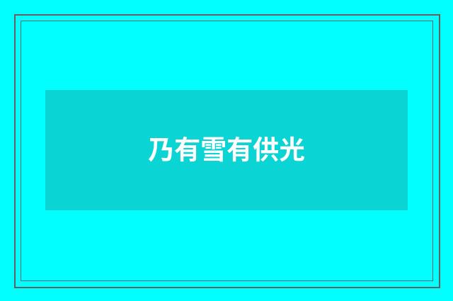 乃有雪有供光