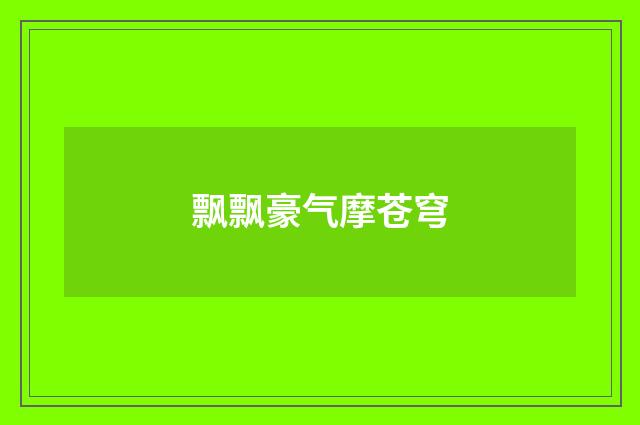 飘飘豪气摩苍穹