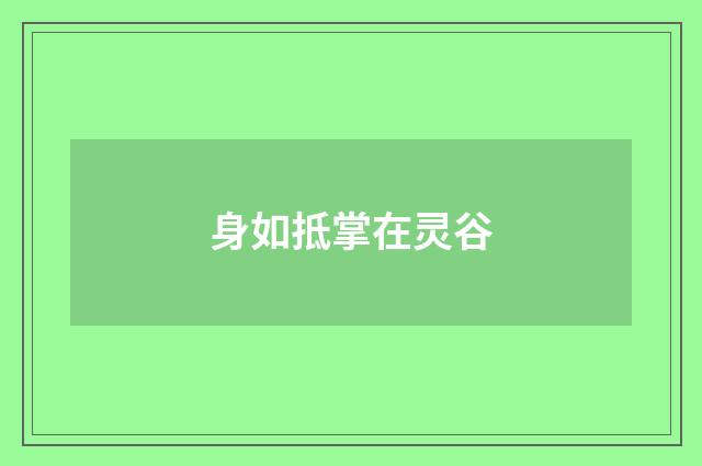 身如抵掌在灵谷