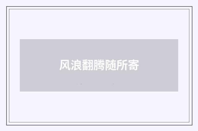 风浪翻腾随所寄