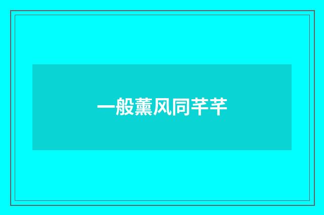 一般薰风同芊芊