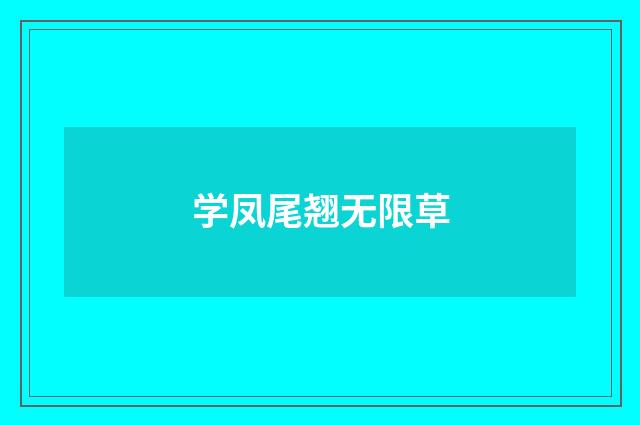 学凤尾翘无限草