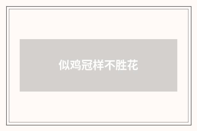 似鸡冠样不胜花