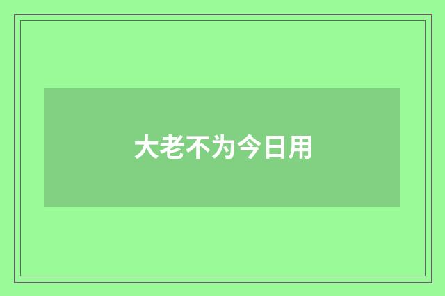 大老不为今日用
