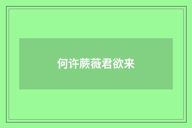 何许蕨薇君欲来
