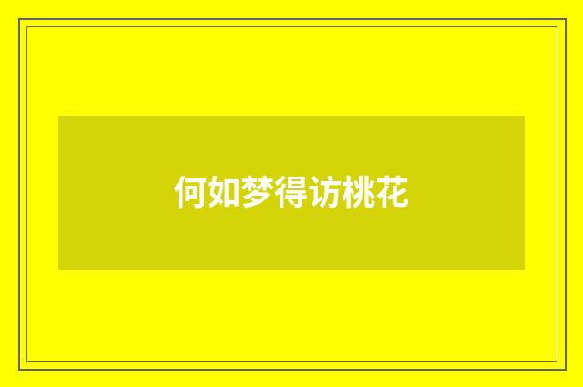 何如梦得访桃花