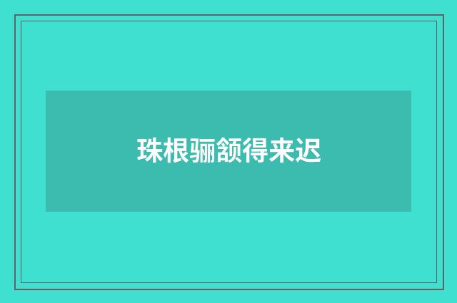 珠根骊颔得来迟