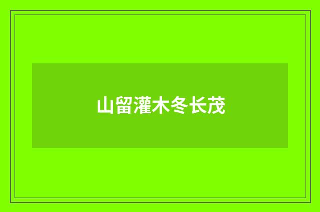 山留灌木冬长茂