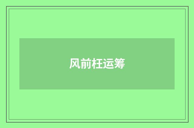 风前枉运筹