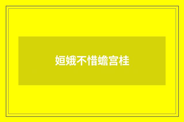姮娥不惜蟾宫桂