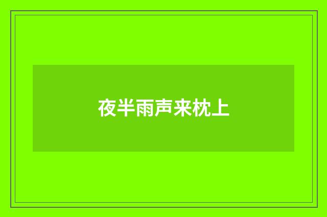 夜半雨声来枕上
