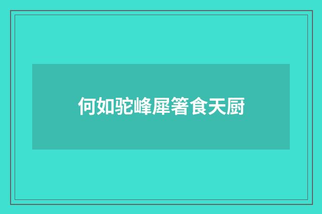何如驼峰犀箸食天厨