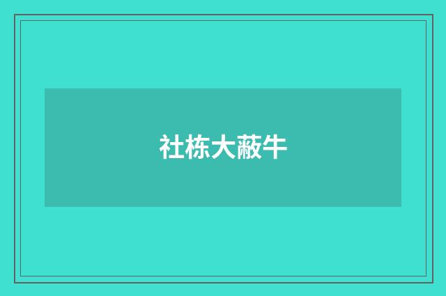 社栋大蔽牛