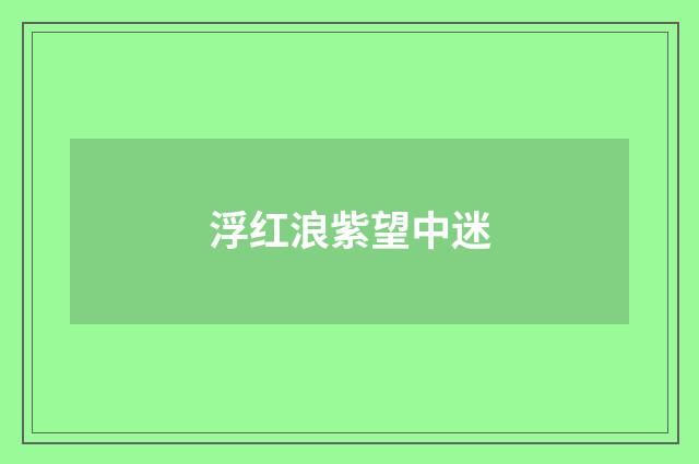 浮红浪紫望中迷