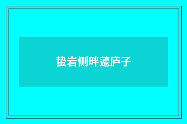 蛰岩侧畔蘧庐子