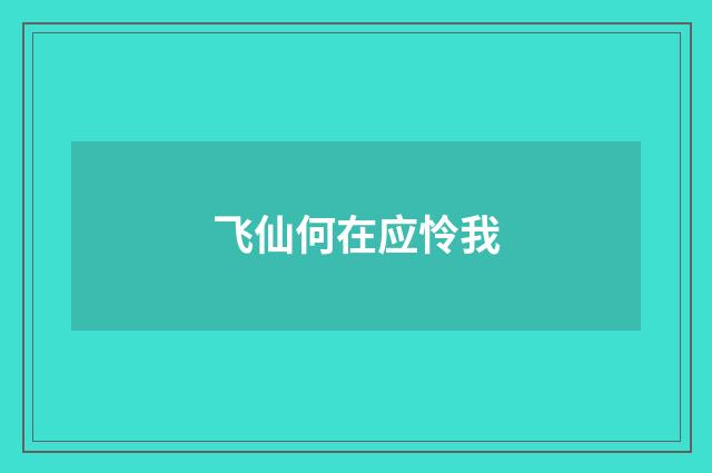 飞仙何在应怜我