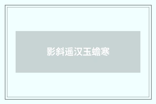 影斜遥汉玉蟾寒